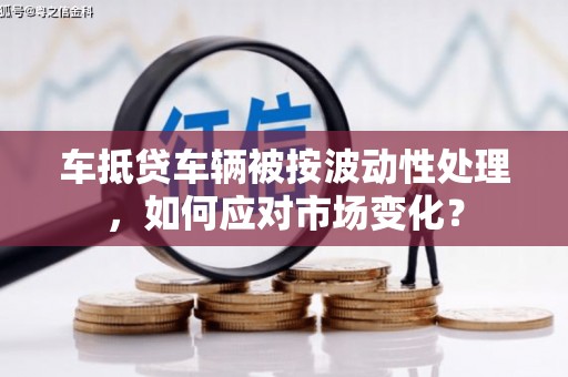 赤水车抵贷车辆被按波动性处理，如何应对市场变化？